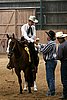 MRJ_0305up.jpg