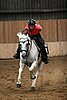 MRJ_0831up.jpg