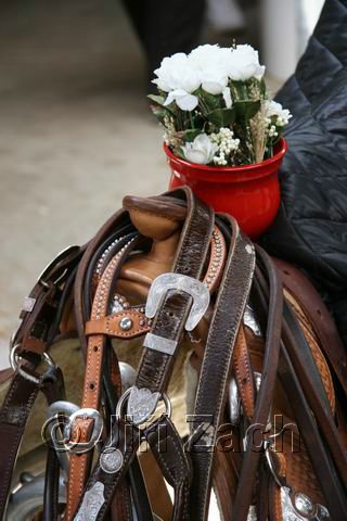 Resize of IMG_1652.JPG