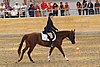 Resize of IMG_2689.JPG