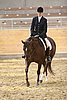 Resize of IMG_2971.JPG