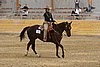 Resize of IMG_3096.JPG