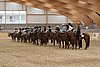 Resize of IMG_3287.JPG