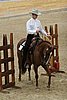 Resize of IMG_3549.JPG