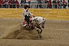 Resize of IMG_3959.JPG