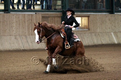 IMG_0915web.jpg