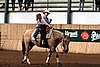 IMG_0058web.jpg