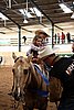 IMG_0438web.jpg