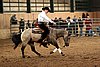 IMG_0722web.jpg