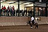 IMG_0756web.jpg