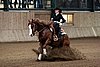 IMG_0915web.jpg