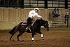 IMG_1209web.jpg