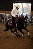 IMG_1229web.jpg
