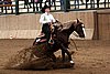 IMG_9234web.jpg