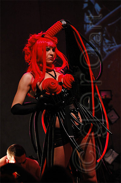 DSC_1588c.jpg