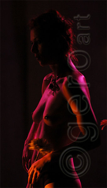 DSC_2053c.jpg