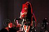 DSC_1616c.jpg