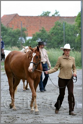 IMG_4379n.jpg (40,5 KB)