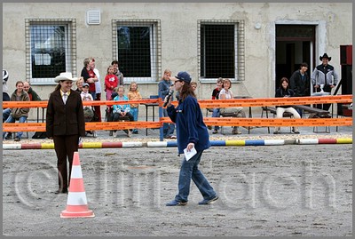 IMG_4383n.jpg (47,5 KB)