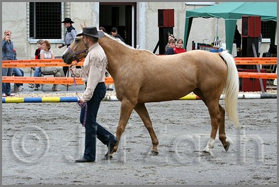 IMG_4390n.jpg (47,1 KB)
