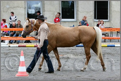 IMG_4391n.jpg (46,2 KB)