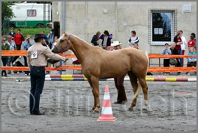 IMG_4396n.jpg (48,7 KB)