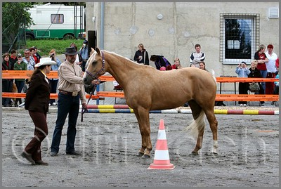 IMG_4397n.jpg (48,3 KB)