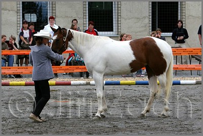 IMG_4440n.jpg (45,2 KB)