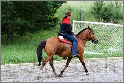 IMG_4487n.jpg (48,2 KB)