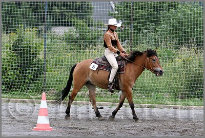 IMG_4496n.jpg (57,5 KB)