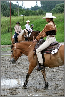 IMG_4499n.jpg (49,0 KB)