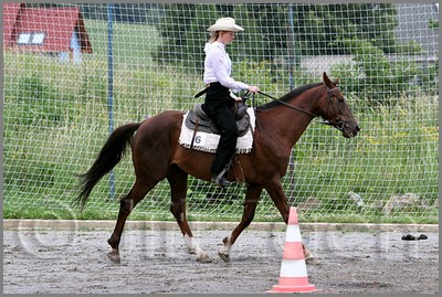 IMG_4512n.jpg (55,2 KB)