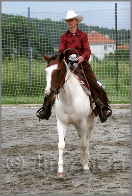 IMG_4539n.jpg (49,1 KB)