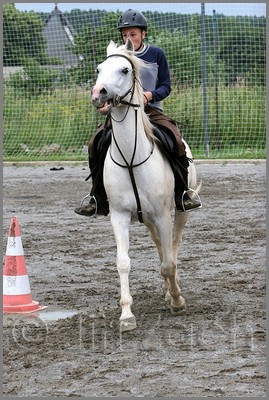 IMG_4546n.jpg (51,2 KB)