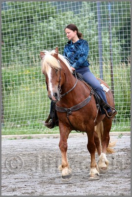IMG_4557n.jpg (51,6 KB)