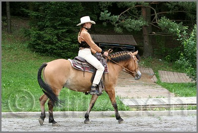 IMG_4615n.jpg (49,3 KB)