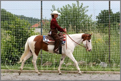 IMG_4623n.jpg (58,0 KB)