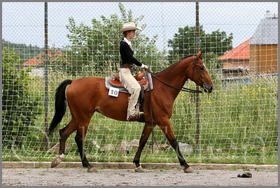 IMG_4629n.jpg (55,8 KB)