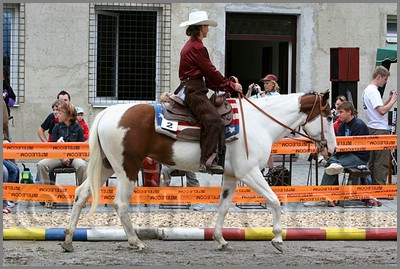 IMG_4635n.jpg (49,4 KB)