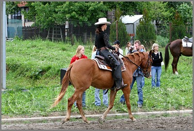 IMG_4667n.jpg (58,6 KB)