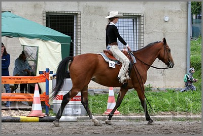 IMG_4668n.jpg (47,7 KB)