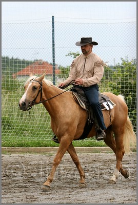 IMG_4675n.jpg (45,0 KB)