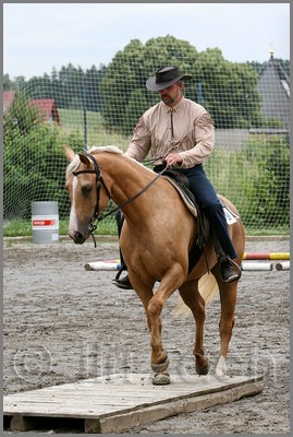 IMG_4721n.jpg (45,7 KB)