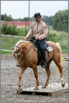 IMG_4722n.jpg (44,3 KB)