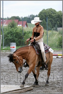 IMG_4730n.jpg (45,7 KB)