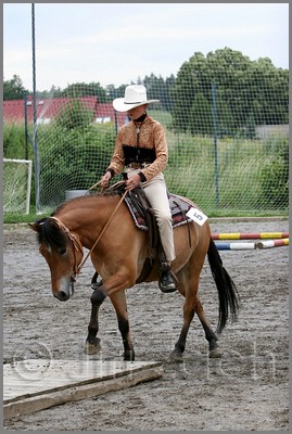 IMG_4733n.jpg (46,2 KB)