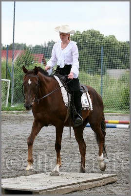 IMG_4744n.jpg (42,0 KB)