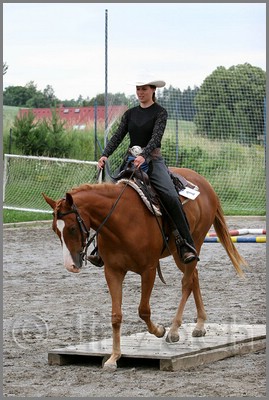 IMG_4758n.jpg (42,2 KB)