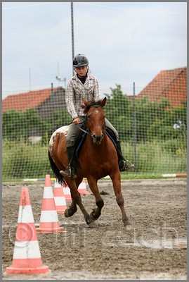 IMG_4824n.jpg (37,9 KB)