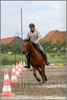 IMG_4825n.jpg (36,9 KB)
